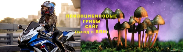 стафф Нягань