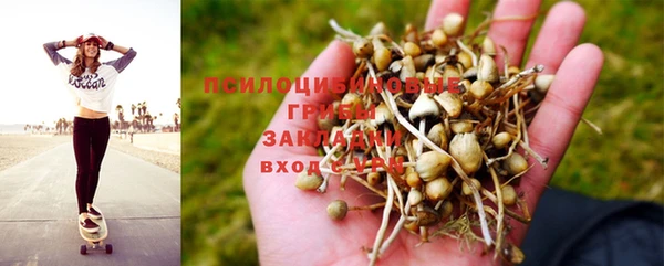 первитин Няндома