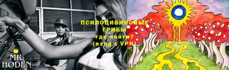 как найти закладки  Ступино  Псилоцибиновые грибы Psilocybe 