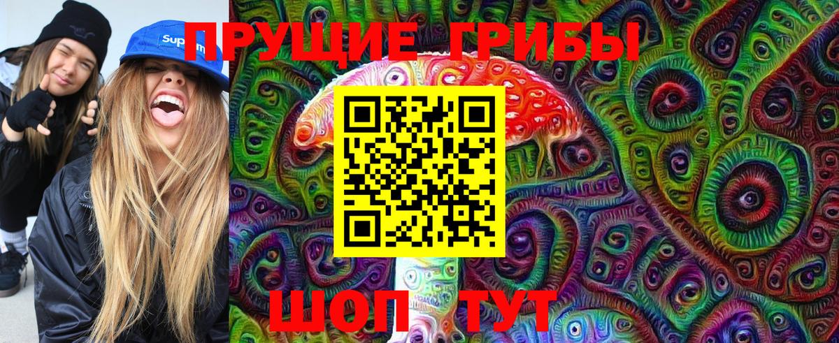Псилоцибиновые грибы Psilocybine cubensis  Псилоцибиновые грибы прущие грибы  Вход с VPN  Ступино 