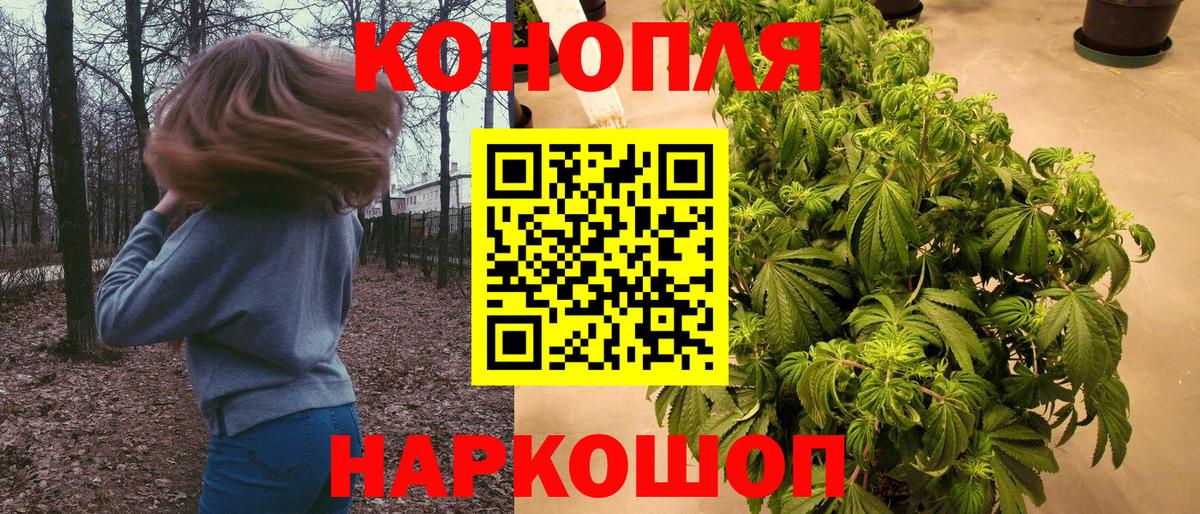Бошки марихуана AK-47  Вход с VPN  Бошки Шишки White Widow  Ступино  Канабис тримм  Конопля SATIVA & INDICA 